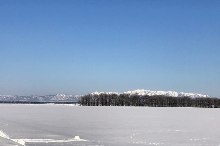 美瑛の雪景色