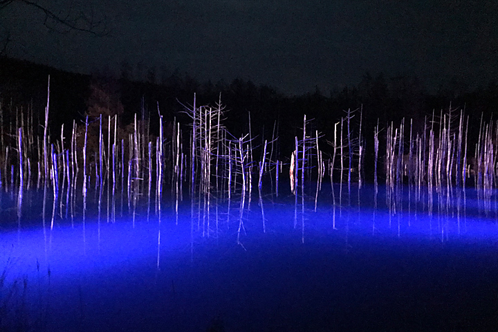 青い池（夜のライトアップ）