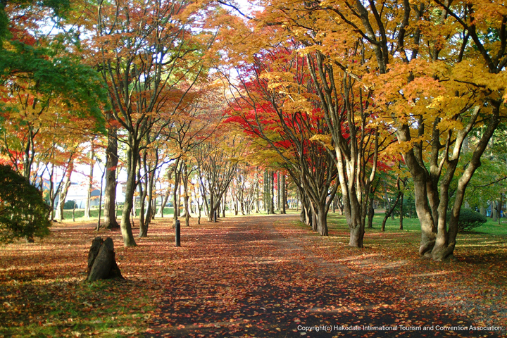 函館・見晴公園（香雪園）