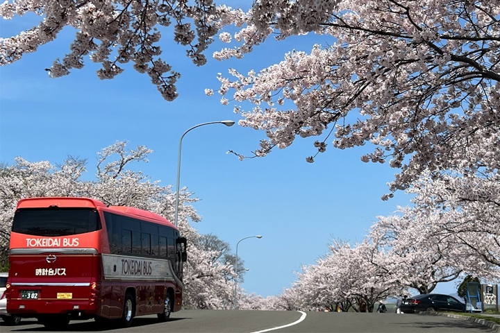 戸田記念墓地公園