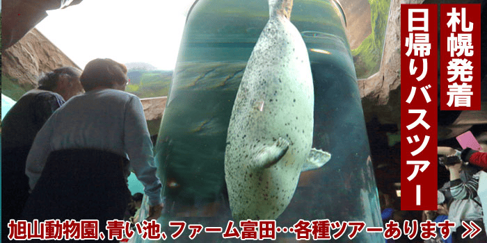 札幌発着 日帰りバスツアー／旭山動物園・青い池・ファーム富田…各種ツアーあります
